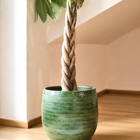 Stylische Mit Balkon - Perfekt Fuer Gruppen 公寓